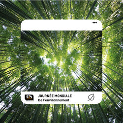 Journée mondiale de l'environnement Journée mondiale de l'environnement