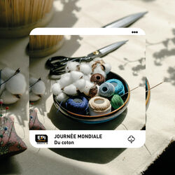 JOURNÉEMONDIALE DU COTON