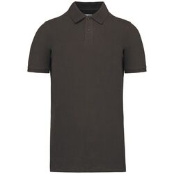 Polo Bio 180 K2025