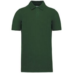 Polo Bio 180 K2025