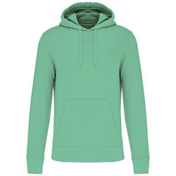 Sweat-shirt &agrave; capuche K4027 SAGE