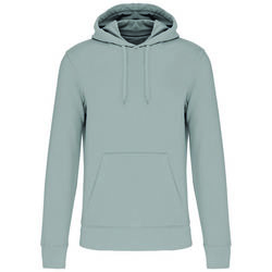 Sweat-shirt &agrave; capuche K4027 SNOW GREY