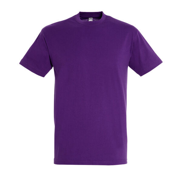 T-SHIRT MC H REGENT